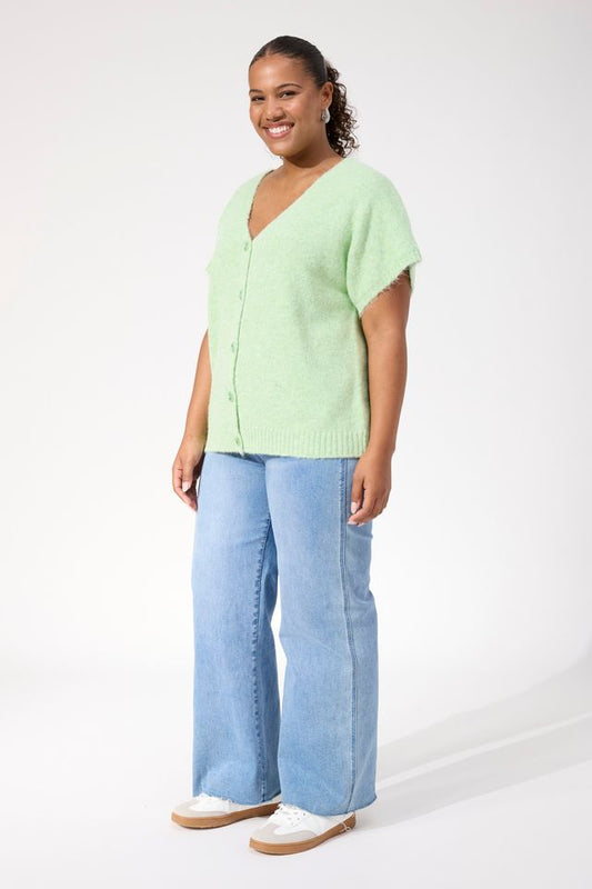 HAVEN VALENZA KNIT VEST - MINT