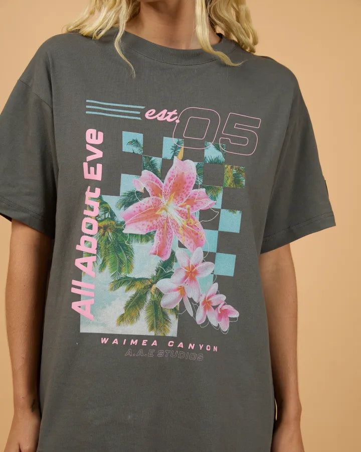 ALL ABOUT EVE CANYON RELAXED TEE - CHARCOAL